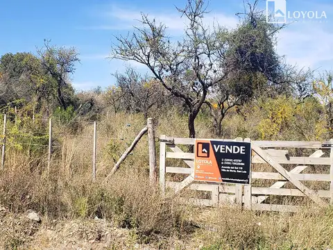 Lote de 1000 m2 en venta en barrio Calaguala Merlo San Luis