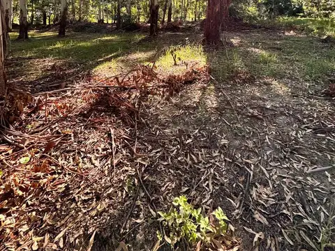 Terreno en Venta en Colonia Carolina, USD 8.500