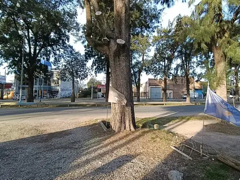 Local en Venta 20 años