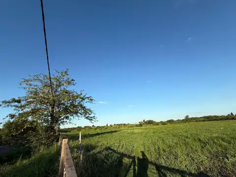 CAMPO EN VENTA EN PERGAMINO