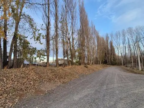 Terreno en Venta de 601,0 m2