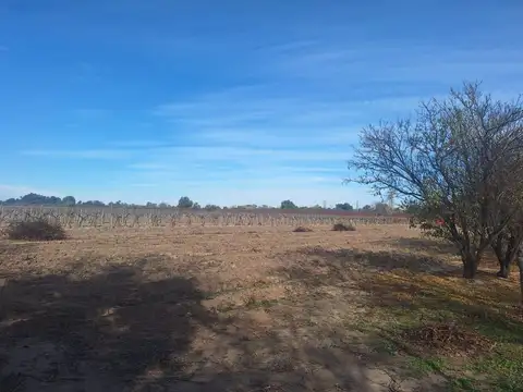 Terreno en Venta en Buen Orden, USD 18.000