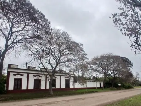 Colon Y Belgrano