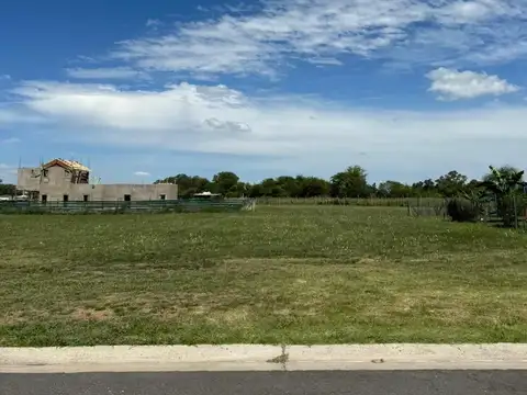 LOTE SAN SEBASTIAN