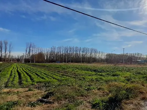 VENTA LOTE, VISTA ALEGRE, NEUQUEN 