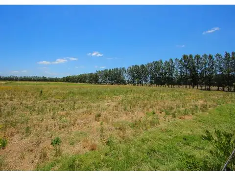 Campo en Venta de 5  ha