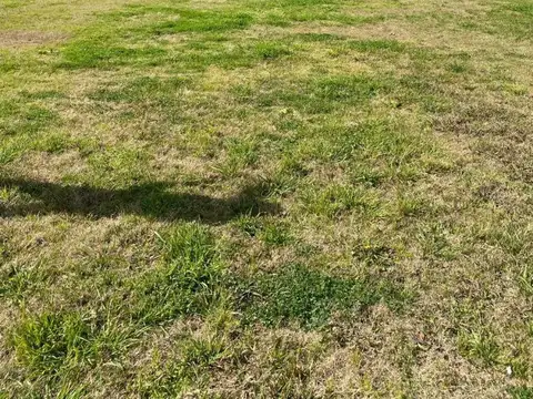 Terreno en Venta de 522,0 m2