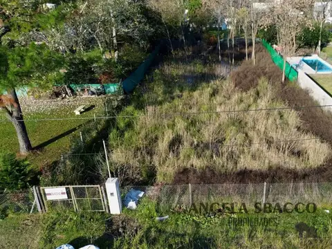 Los Carpinteros, Parque Natura.