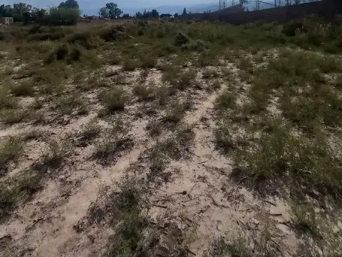 Terreno en Venta de 541,0 m2