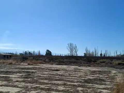 Aristóbulo del Valle 1100