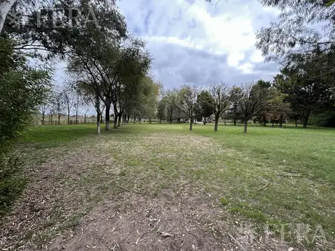 Terreno en Venta de 12000,0 m2