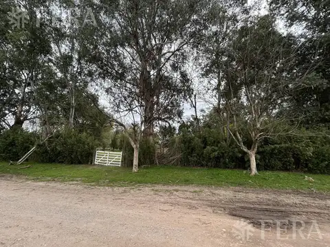 Terreno en Venta de 12000,0 m2