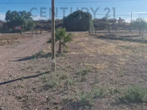 CUBILLOS 8300