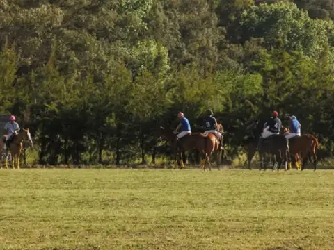 Terreno en Venta de 3867,0 m2