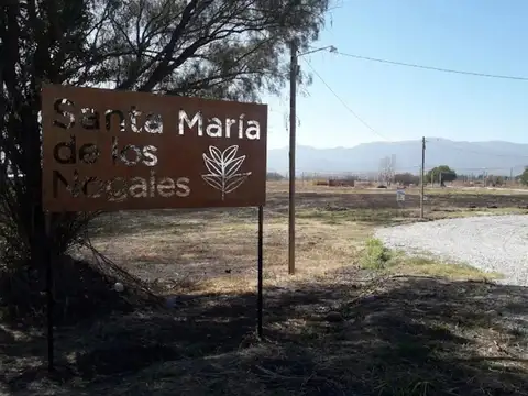 Terreno en Venta de 351,0 m2