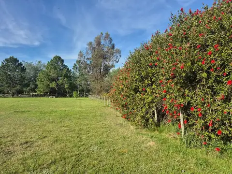 VENTA LOTE CLUB DE CAMPO HARAS EL MALACATE