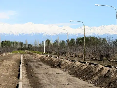 Terreno en Venta en Zapata, USD 175.000