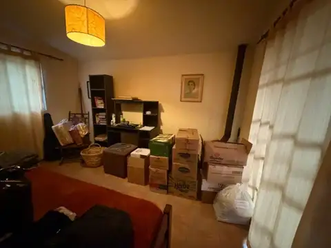 Alem 100