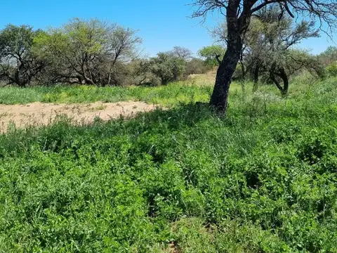 Terreno en Venta de 950,0 m2