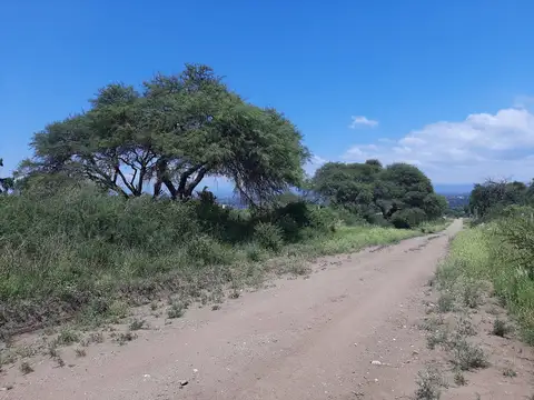 Terreno en Venta 50  mts Fondo