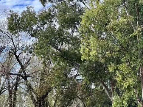 Terreno en Venta de 715,0 m2