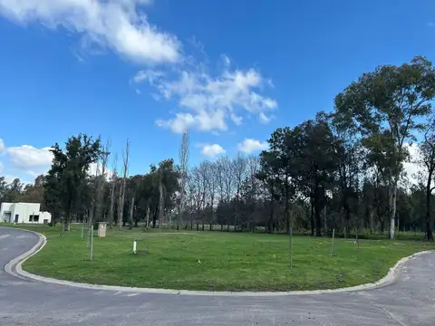 Alejandro Korn 3100