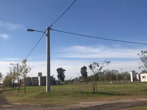 LAS CASUARINAS- Av. del limite 7571