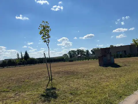 Terreno en Venta de 1002,0 m2