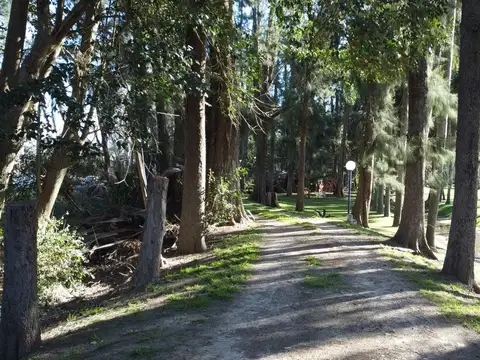 Venta de quinta en costa del Paraná de las Palmas