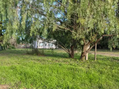 Terreno en Venta en Colonia Avellaneda, USD 36.000