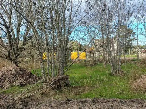 Terreno en Venta en Colonia Avellaneda, USD 36.000