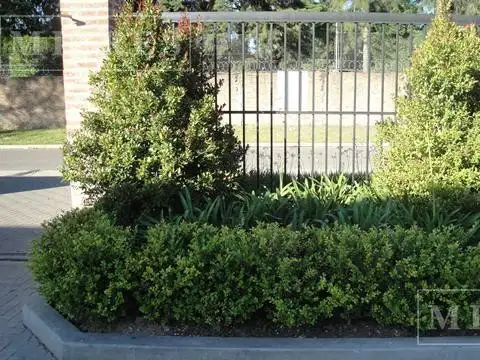 Lote de 340m² en venta en Los Olivares