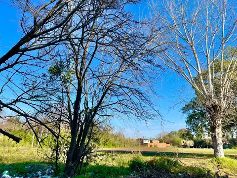 Terreno en Venta de 10000,0 m2