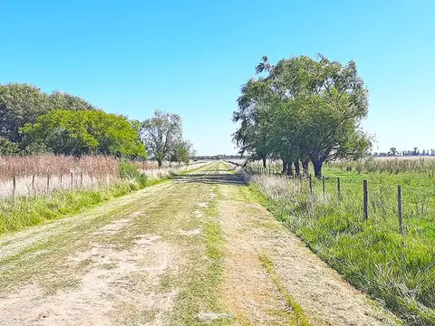 Campo en Venta de 446  ha