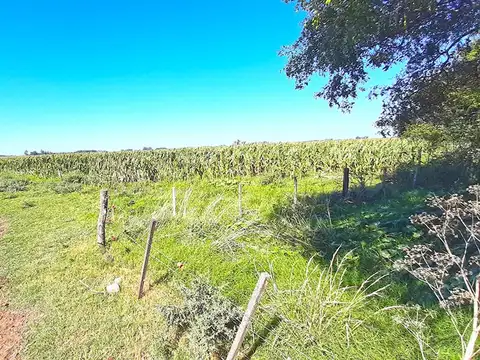 Campo en Venta de 446  ha