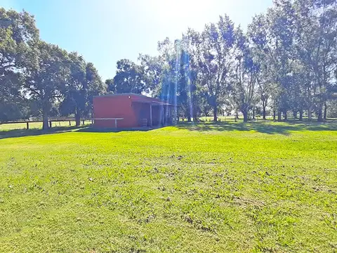 Campo en Venta Agrícola
