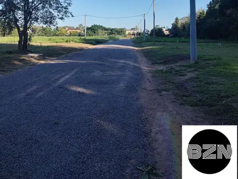 LOS CASTAÑOS 100