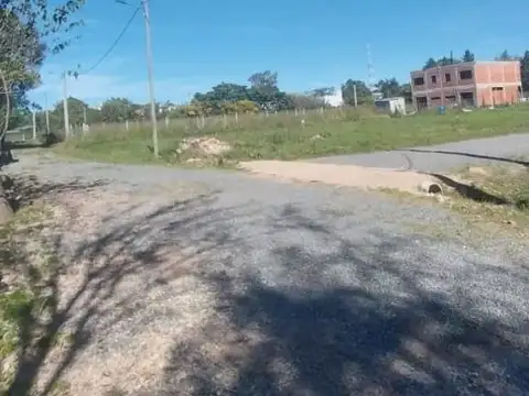 LOS CASTAÑOS 100
