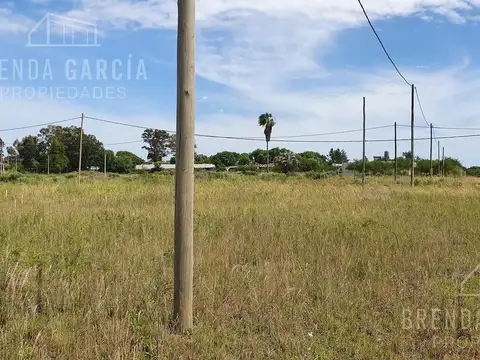 Terreno en Venta 40  mts Fondo