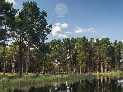 Terreno en Venta en Pinamar, USD 98.000