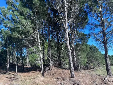 VENTA LOTE NORTHBEACH