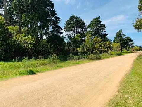 Venta Lote Rocha Santa Isabel de la Pedrera