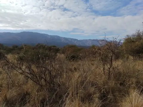 Terreno en Venta de 30000,0 m2