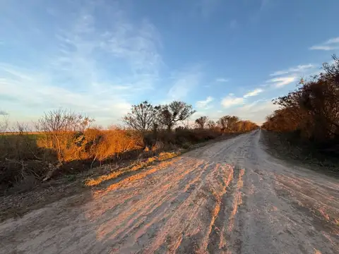 REMAX VENDE CAMPO AGRICOLA SOUTO MAYOR SANTA FE