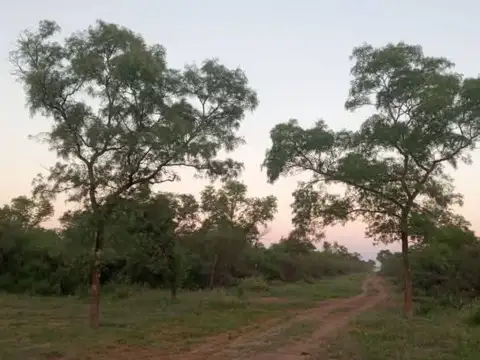 TINTINA PROVINCIA DE SANTIAGO DEL ESTERO