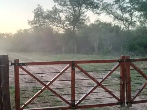 TINTINA PROVINCIA DE SANTIAGO DEL ESTERO