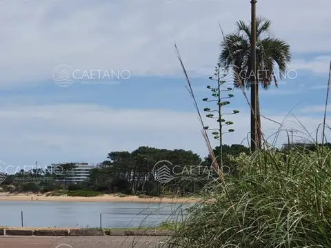 Local comercial único en La Barra