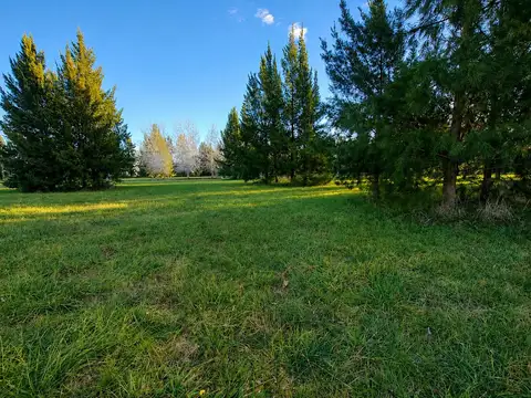 Terreno en Venta de 1676,0 m2