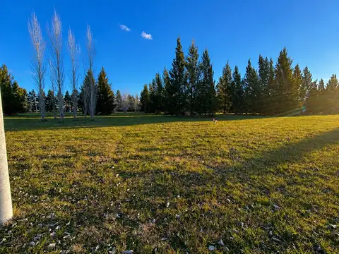 Terreno en Venta de 1676,0 m2