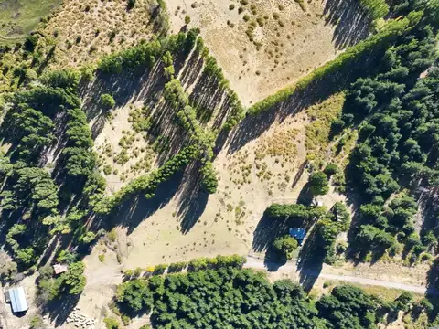 Campo de 1250 has en Epuyen